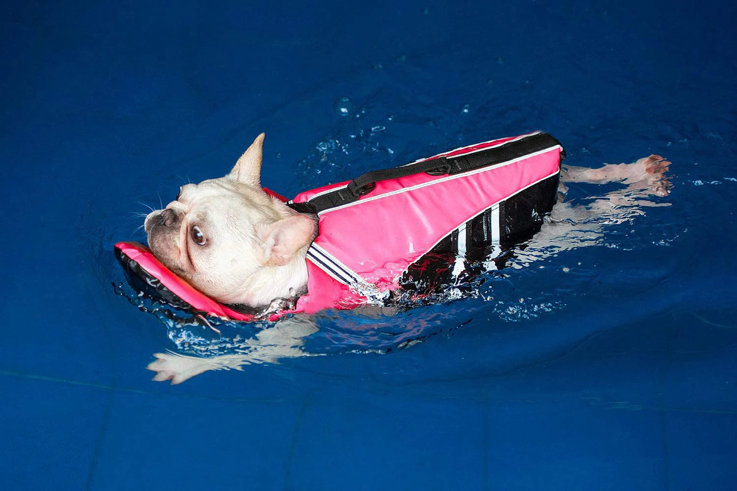 Reflective Dog Life Jacket Vest Removable Neck Float High Buoyancy Dogs Swimming Clothes, Pet Safety Swimsuit for Dog Cat